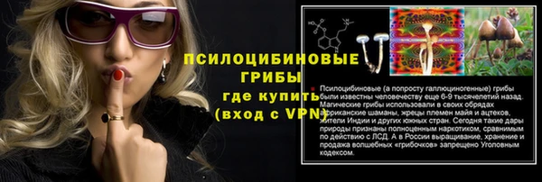 скорость Вяземский