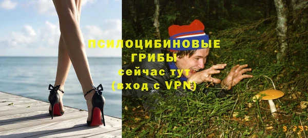 шишки Щучье