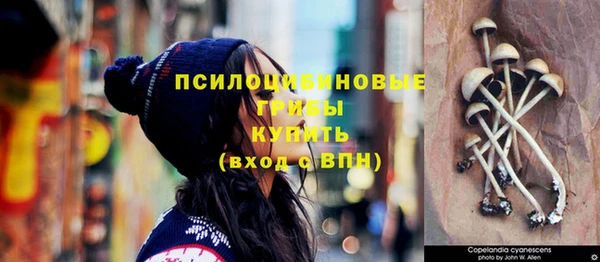 синтетический гашиш Гусиноозёрск