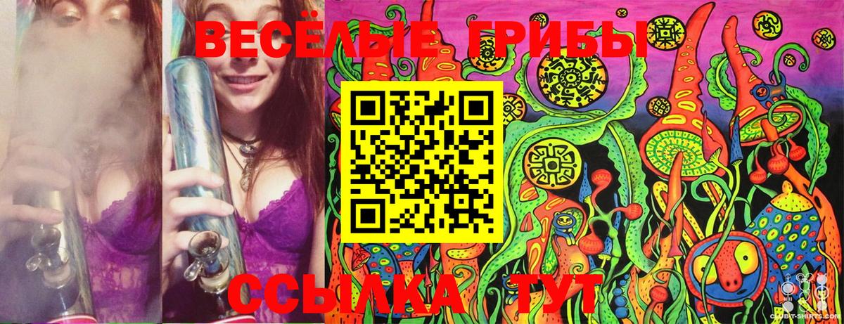 Добрянка  Псилоцибиновые грибы Cubensis  Галлюциногенные грибы GOLDEN TEACHER  Вход с VPN 
