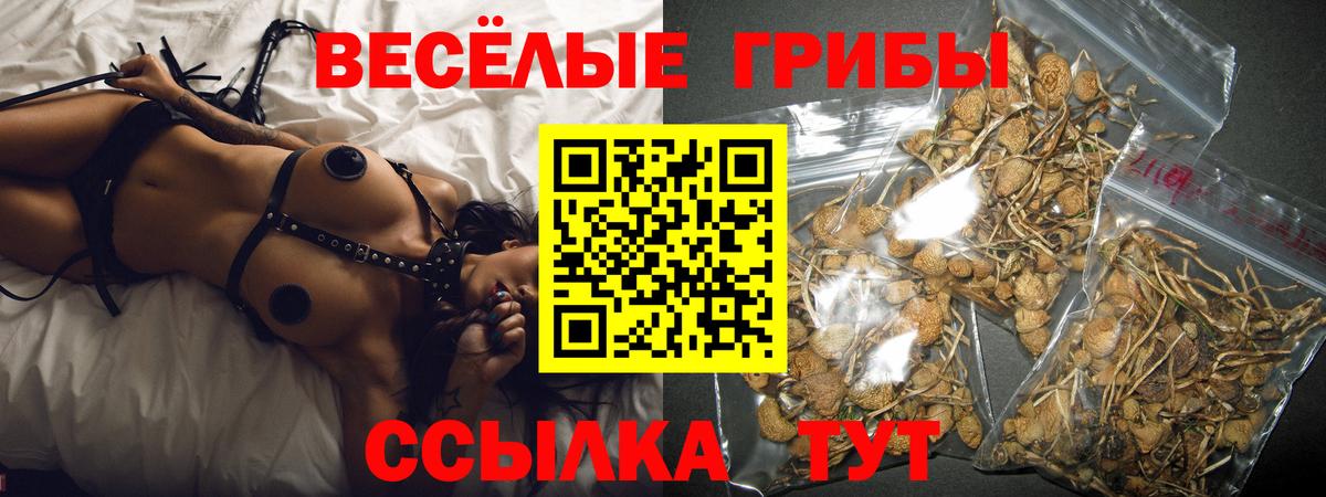 Галлюциногенные грибы Psilocybine cubensis Добрянка