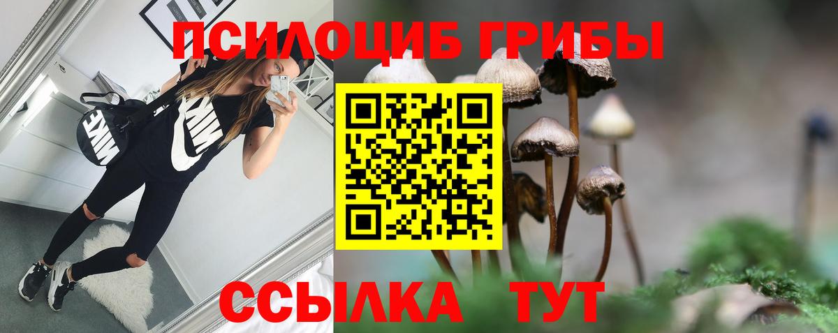 Галлюциногенные грибы прущие грибы Добрянка